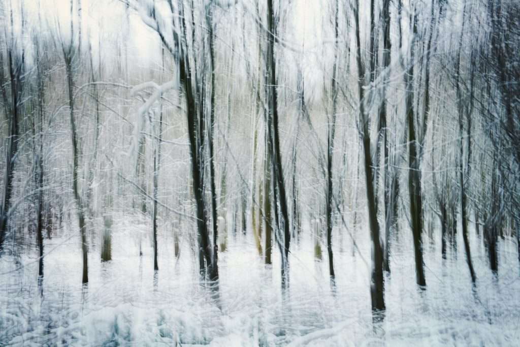 Winter – Photo contest