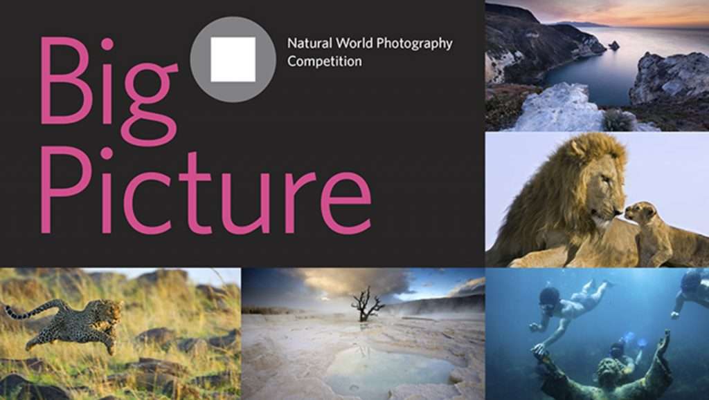 2022 BigPicture Natural World Photography Competition