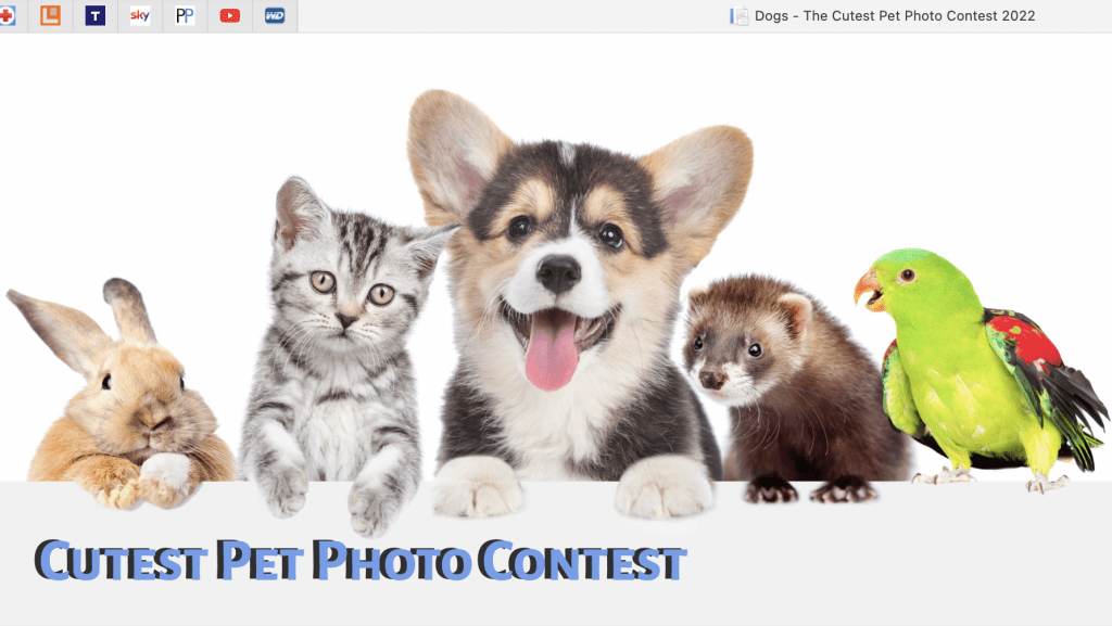 Photo Contest: The Cutest Pet in 2022