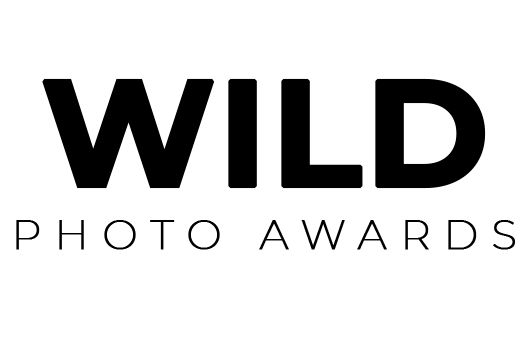 WILD Photo Awards – Win UNCAPPED Prize Money