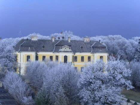 “Mór télen” 2021-2022 –  Lamberg-kastély Művelődési Központ, Könyvtár és Muzeális Kiállítóhely fotópályázata