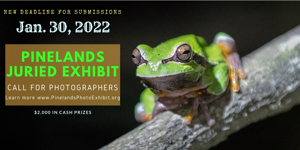 Pinelands Annual Juried Photographic Exhibition 2022